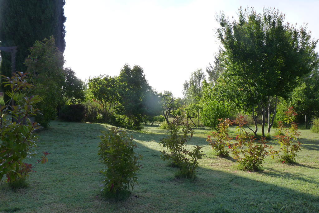 Au Mas Saint Pierre Pignans Exterior foto